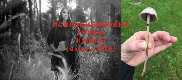 трава Шали