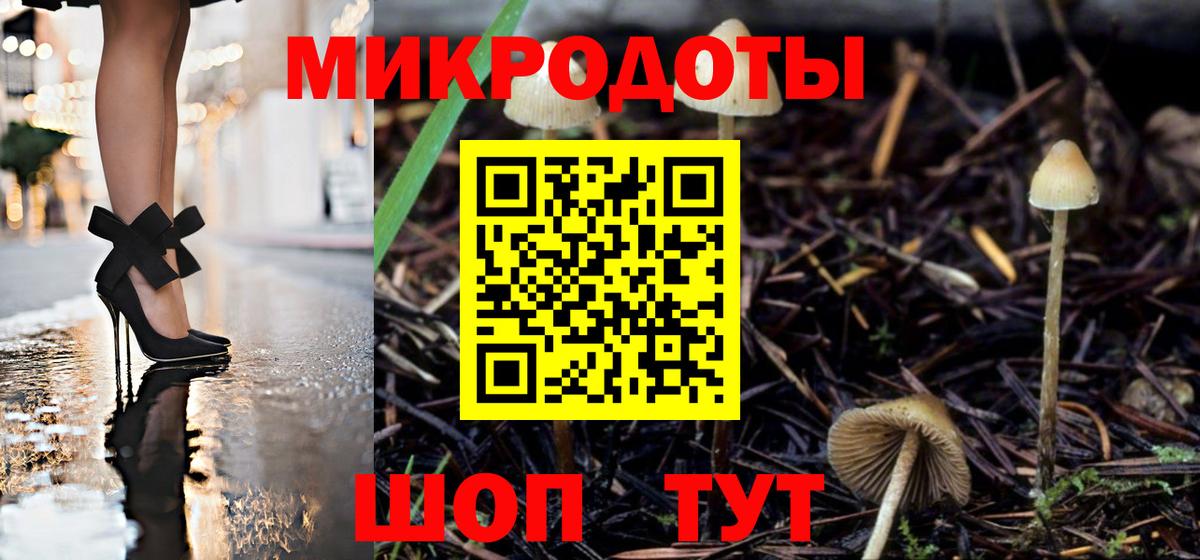 Ярославль  Псилоцибиновые грибы Cubensis  Вход с VPN 
